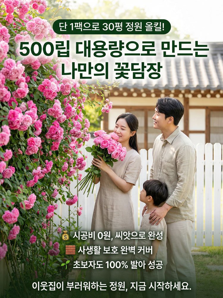 【사계절 개화】이중꽃 장미씨앗
