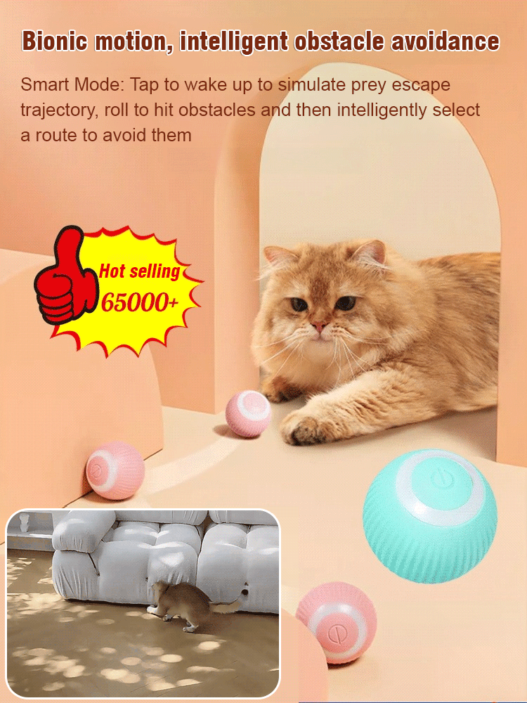 Intelligent teaser ball rolls and makes sounds and is bite-resistant