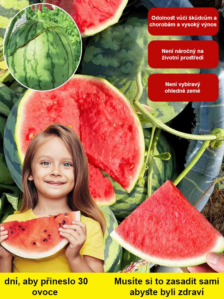 Semena melounu Red Jade