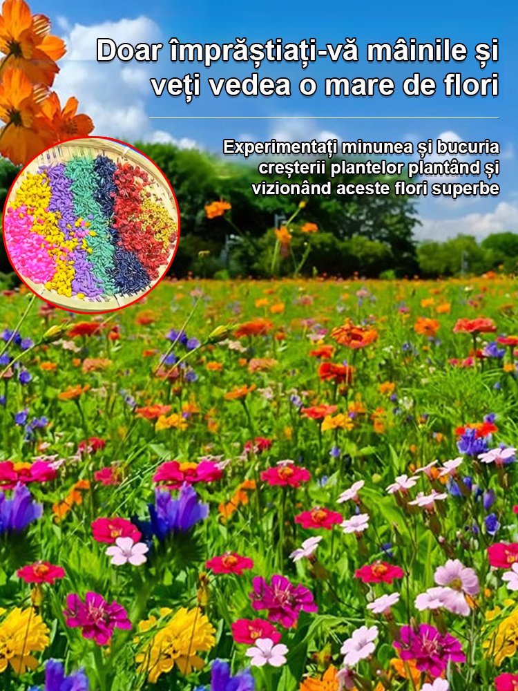 【Flori de patru anotimpuri】Amestec de semințe pentru un câmp de flori