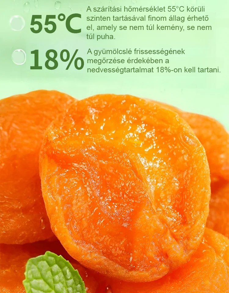 Savanykás és édes cukormentes sárgabarack aszalvány