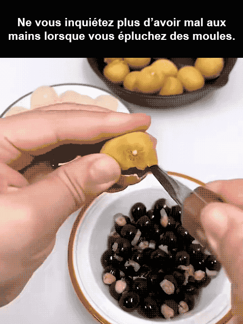 Pelle à dos en acier inoxydable