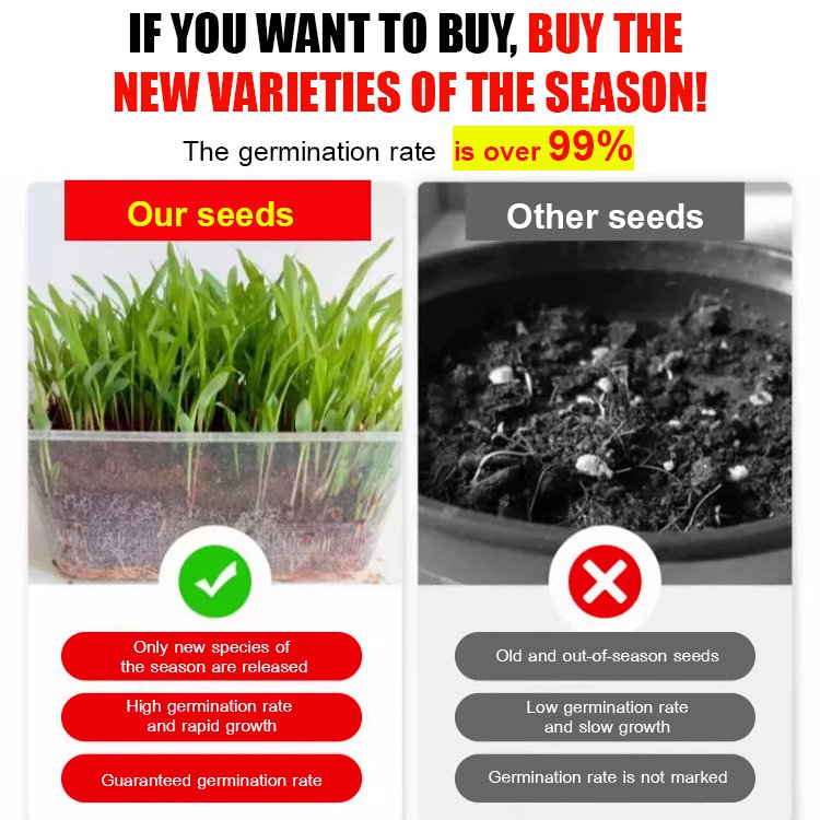 Return to high yield-Sorghum bicolor × sudanense.Chicken, cattle, sheep, fish seeds