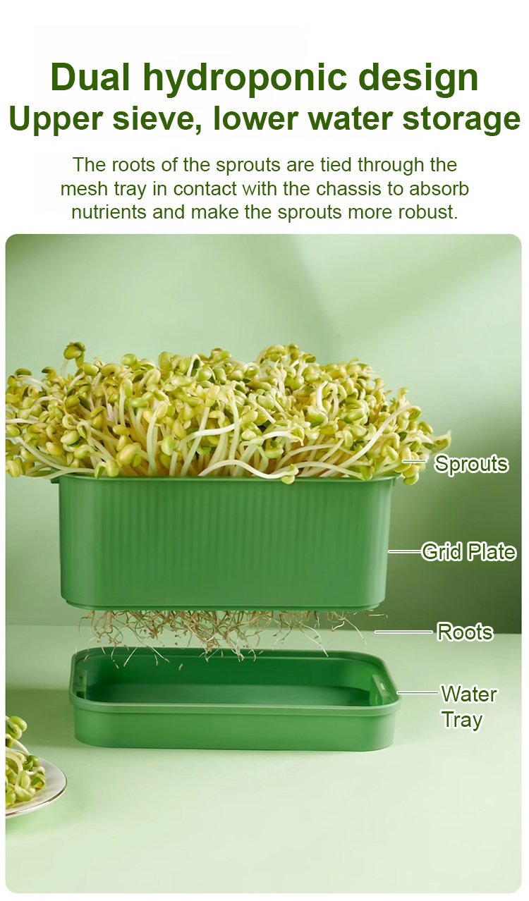 Close-up of fresh sprouts in household planter