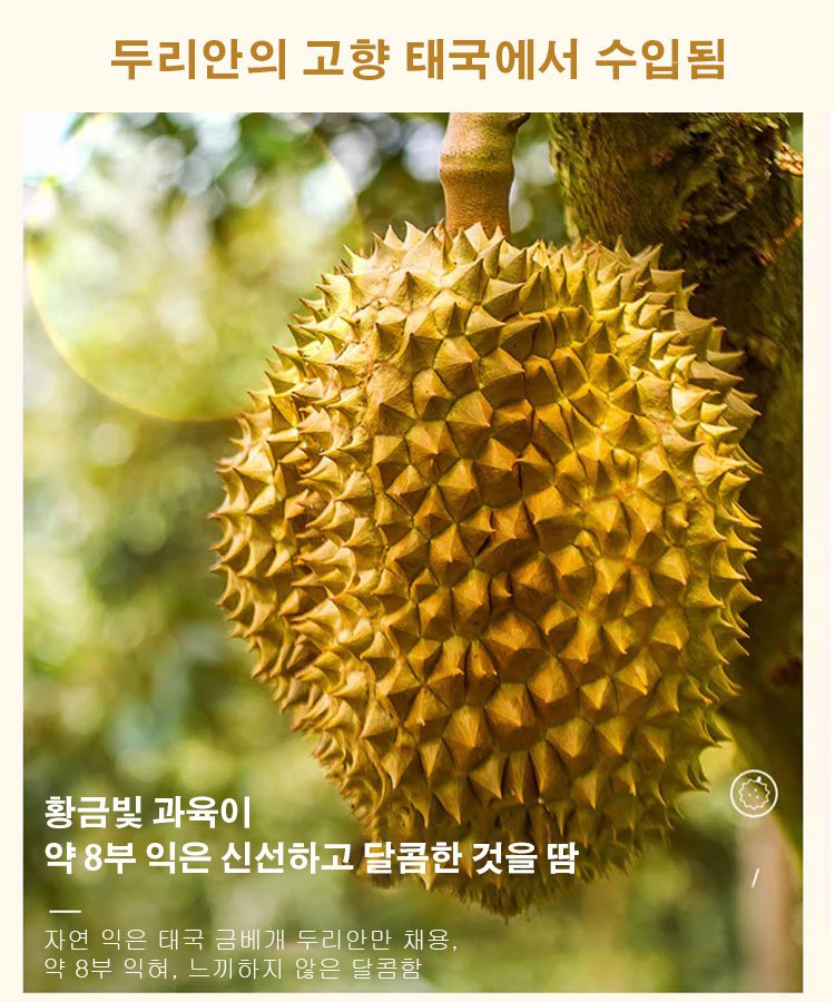 태국 금침 동결건조 두리안 