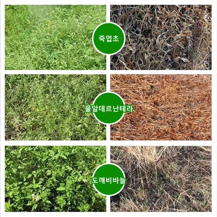 당일 결과를 확인하실 수 있습니다