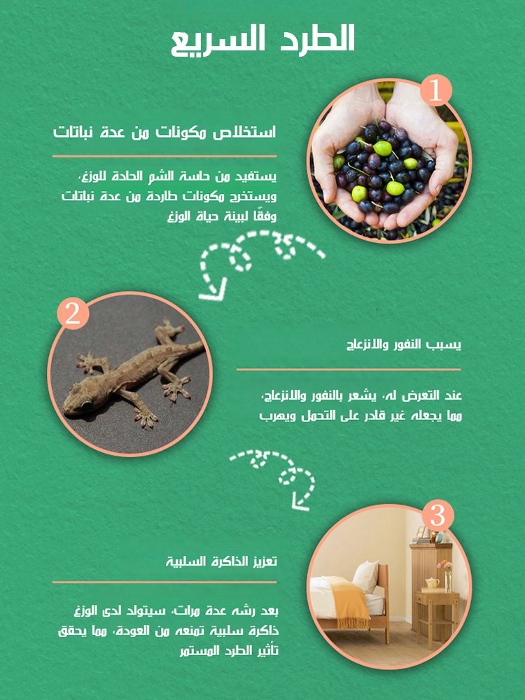 رذاذ سحري فعال لطرد الوزغ【الدفع عند الاستلام】
