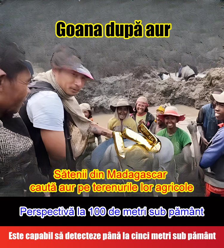 Detector de metale portabil de înaltă sensibilitate