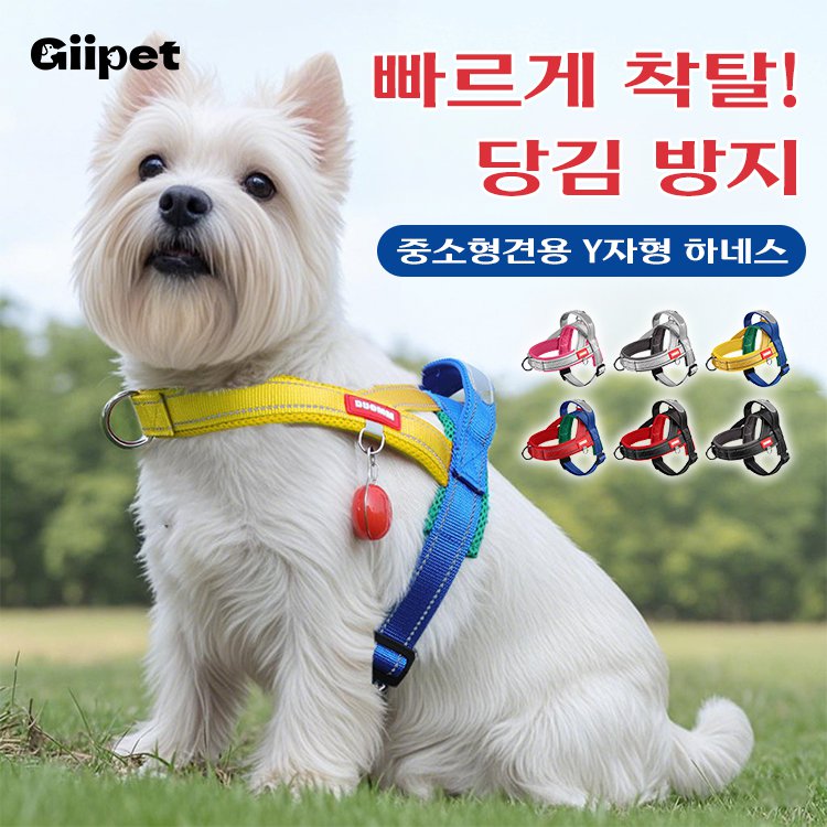 giipet-트리컬러 컬러 하네스