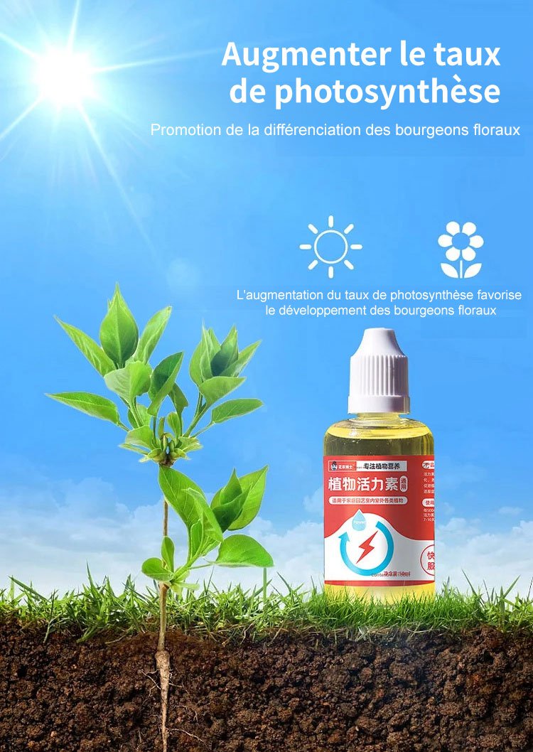 Vitaline de croissance des plantes