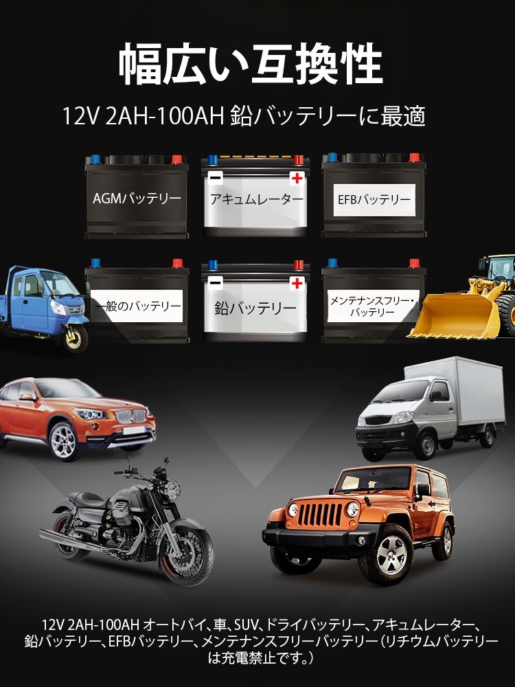 FAST バッテリー充電器