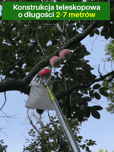 Teleskopowy podbierak do owoców