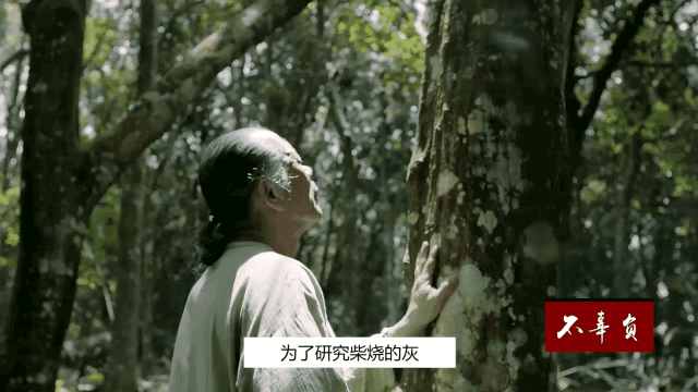 G6.gif