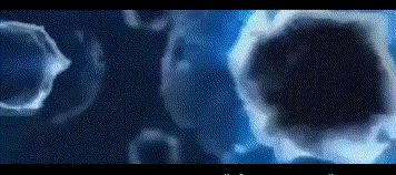 1523933166232272.gif