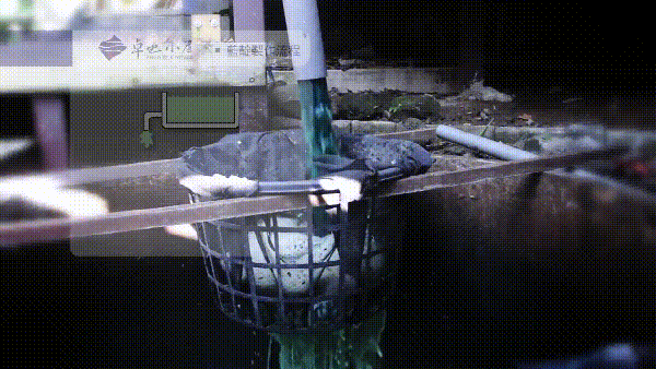 卓也小屋藍靛生產、建藍及藍染流程介紹影片 (4).gif