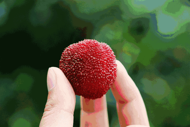 5ef164cd7a86a.gif
