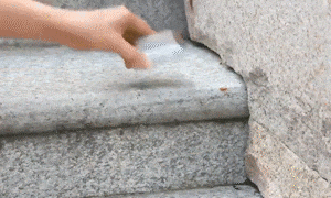 01-1.gif
