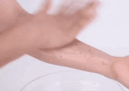 getimg (8)_看图王.gif