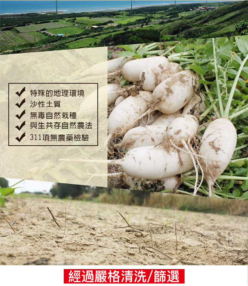 xiangq_10.jpg