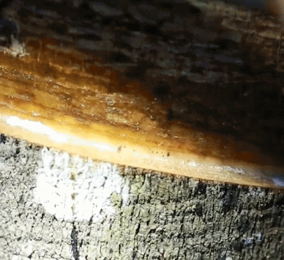 1606118617946365.gif