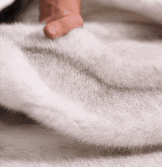 1606388542927736.gif