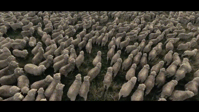02.gif