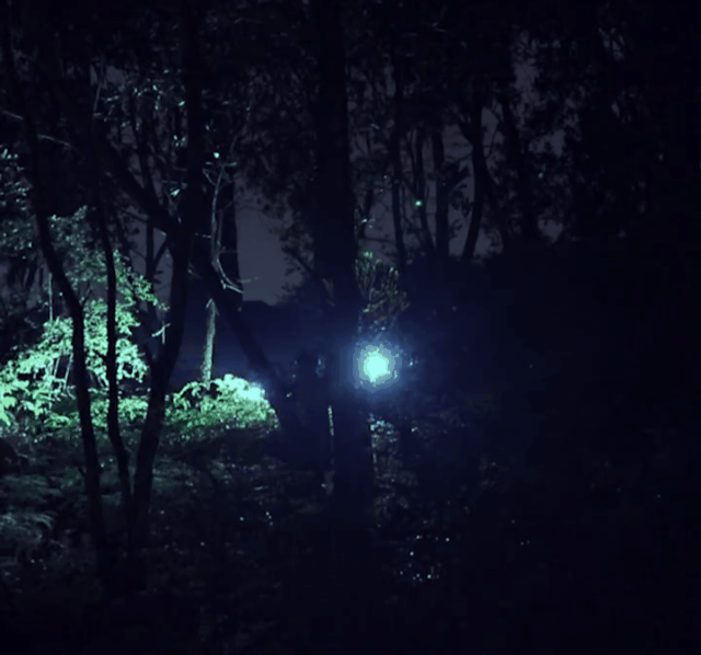 1609405424385548.gif