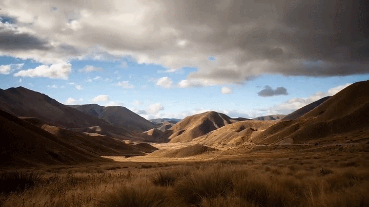 gif2.gif