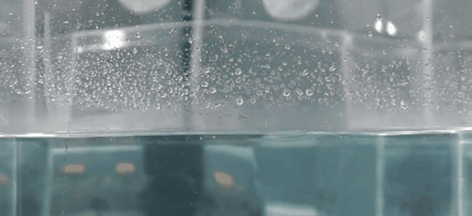 1535708929173063.gif