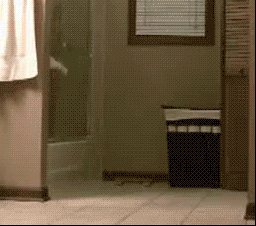 1614326459750430.gif