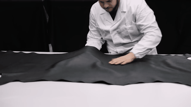 1.gif