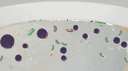 9531-itvqccc2523677.gif