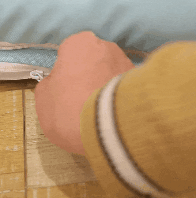 g3.gif