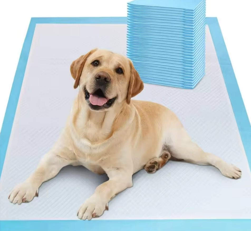 犬用しつけシート