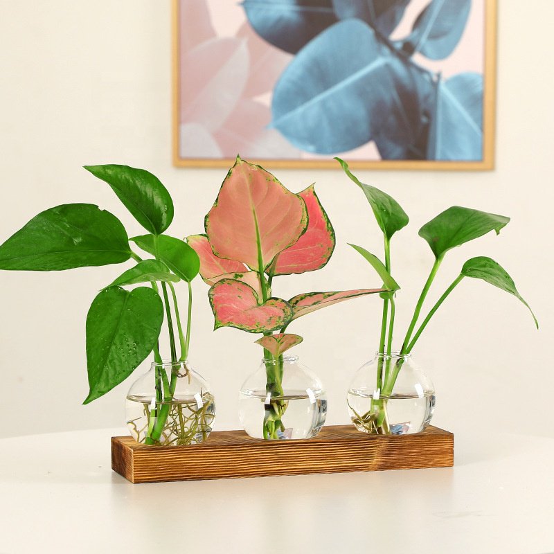 Glass light bulb vase