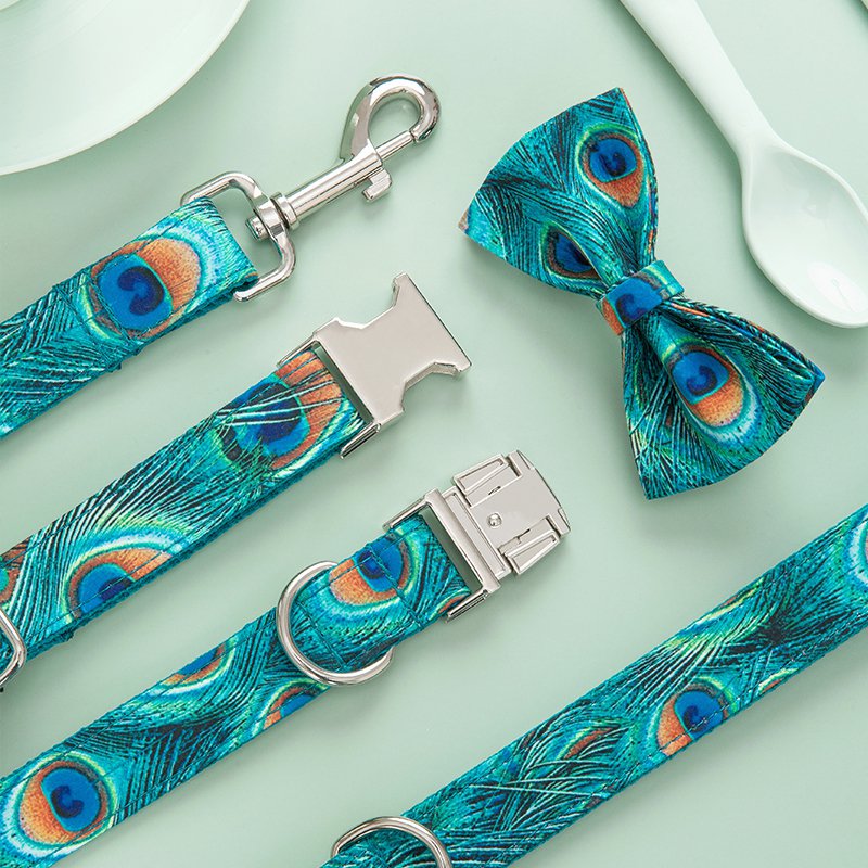 Leash Dog Collar