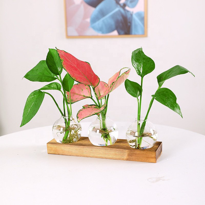 Glass light bulb vase