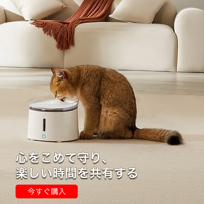 charmrach オンラインストア