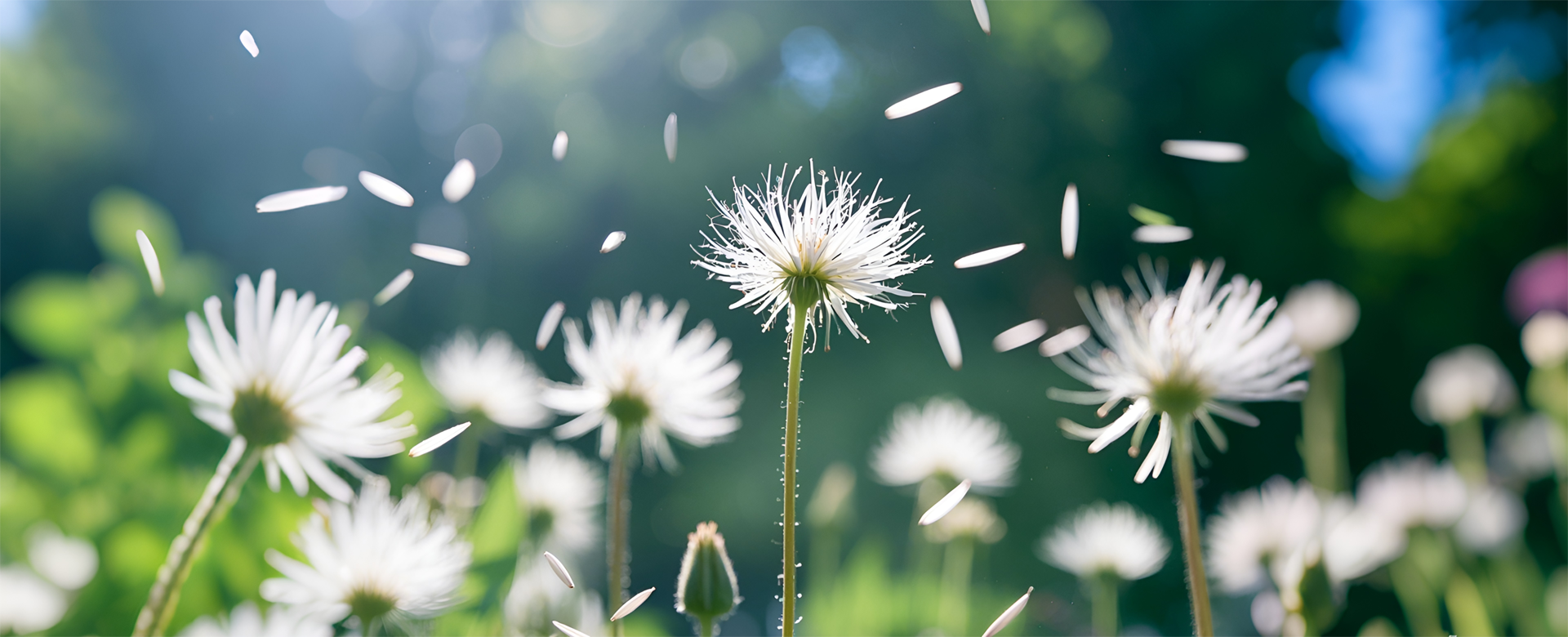 Online shopping MALL-copy-1743045525716