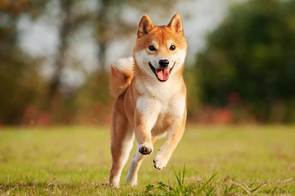 yukilo オンラインストア