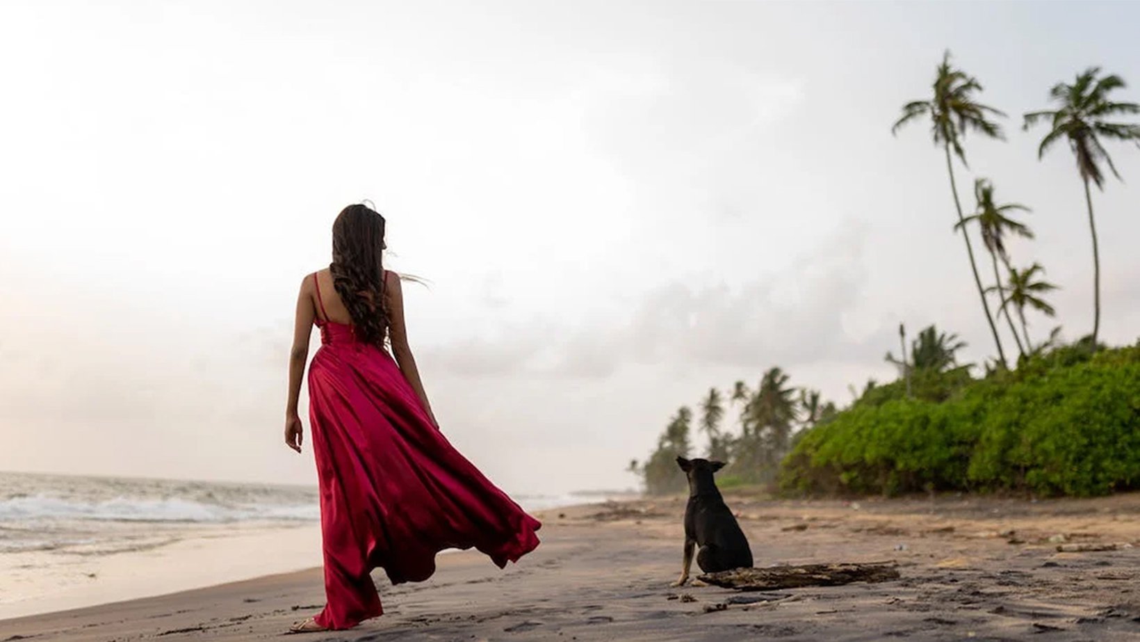 zym-mall 한국 쇼핑몰