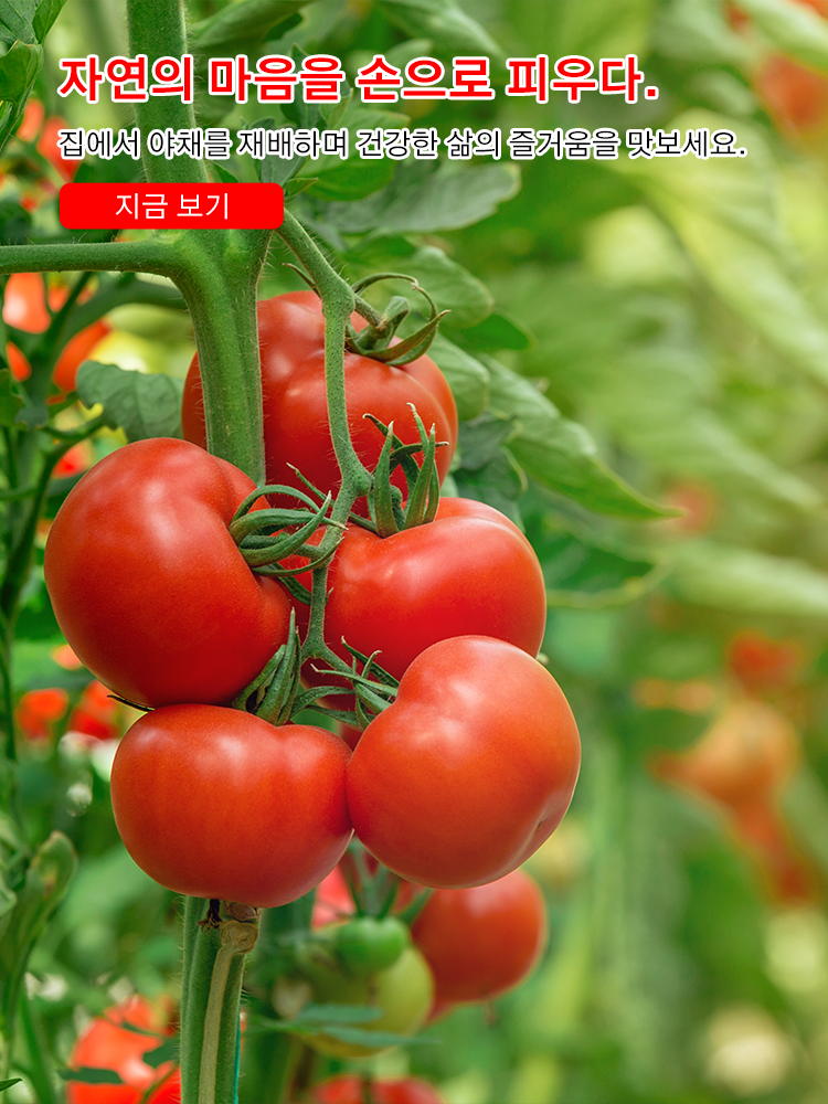 키키 한국 쇼핑몰