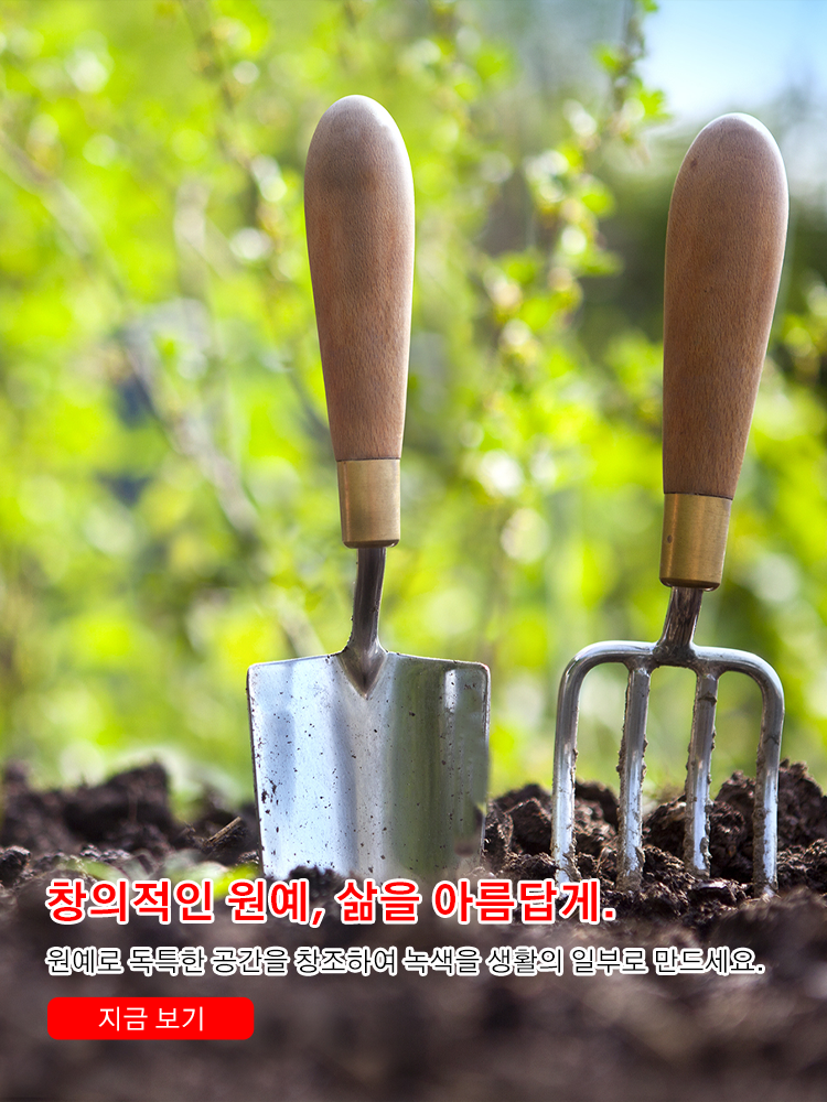 한국 쇼핑몰