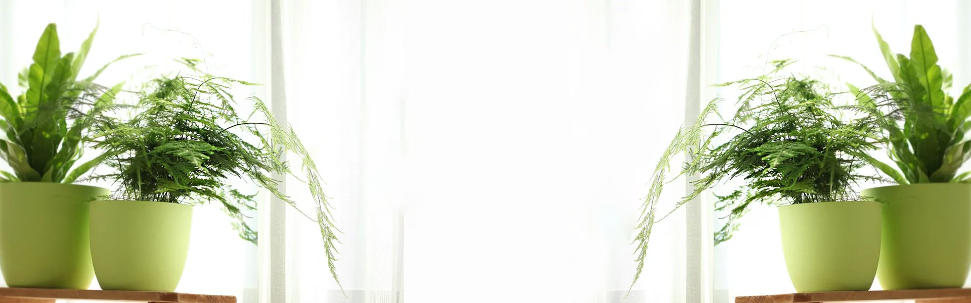 Boutique en ligne sas