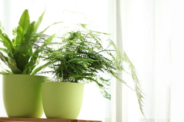 Boutique en ligne sas