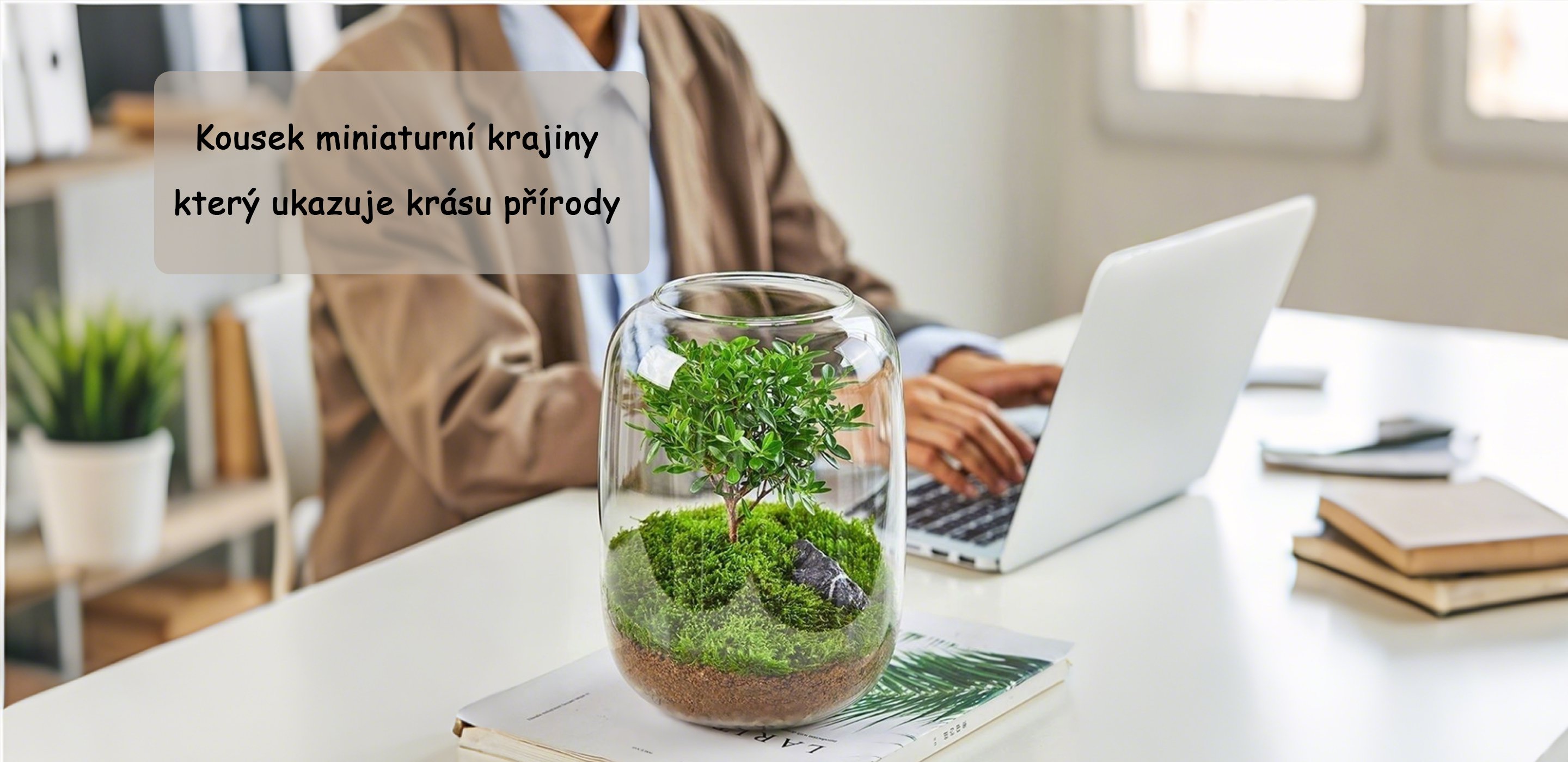 Špičkové příslušenství pro vaše auto – kvalitní autodíly online,Vše pro vaši zahradu – nářadí a potřeby pro zahradníky,Praktické potřeby pro každodenní život – vše na jednom místě