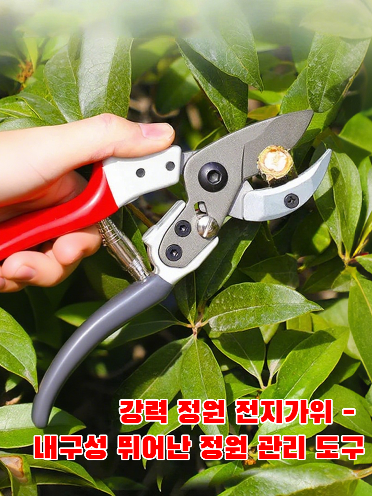 키키 한국 쇼핑몰