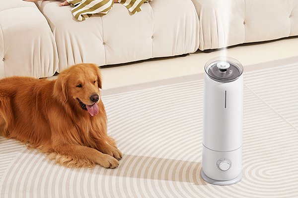 便利でおしゃれなキッチンアイテム通販｜人気調理グッズ多数,ペットグッズ専門店｜犬猫用おもちゃ・ベッド・お手入れ用品,人気の小型家電通販｜省スペースで暮らしを快適に