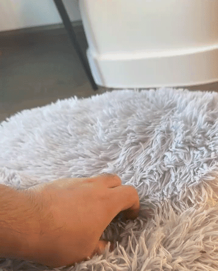 宠物窝_12.gif