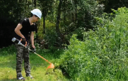 02.gif